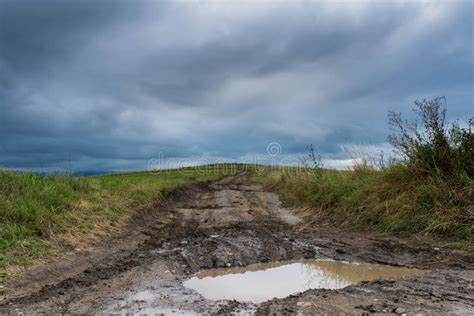 Dirt Road After Heavy Rain Leading To The Top Of The Hill Stock Image