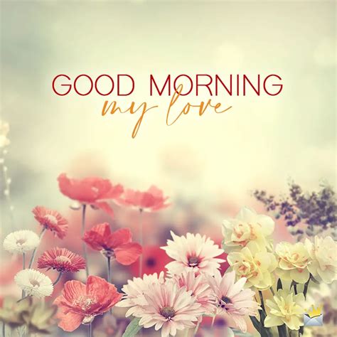 Good Morning Text Messages And Sms For Your Special Someone Your Love