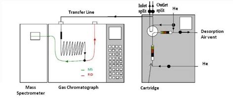 Schematic Representation Of The Td Gc Fid Ms System Download