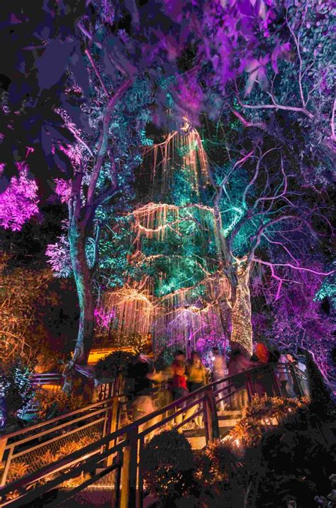 3,314 likes · 26 talking about this · 17,032 were here. Enter the surreal magical world of Pandora; Penang Avatar ...