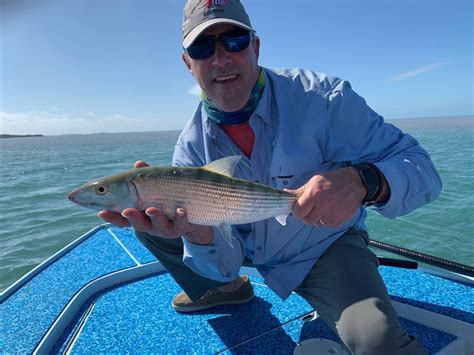 Rates And Info Key West Flats Fishing With Capt Rick Mager On Flats Fever
