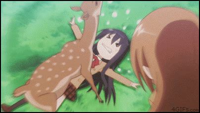 Japan GIFs Find Share On GIPHY