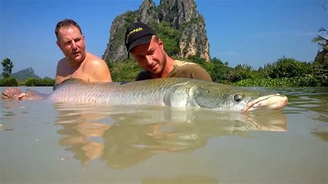 Fishing In Thailand Jurassic Mountain Resort And Fishing Park Steve