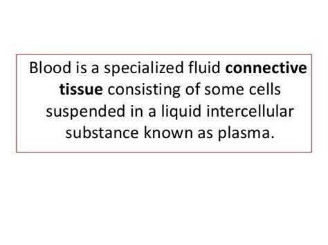 Bloodwhite Blood Cellsfluid Connective Tissue