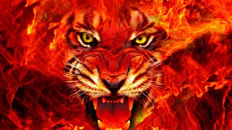 Flame Tiger Wallpapers Top Free Flame Tiger Backgrounds Wallpaperaccess
