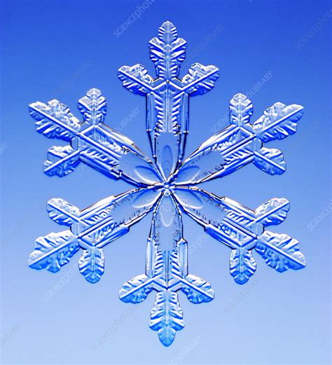 Snowflake Stock Image E1270434 Science Photo Library