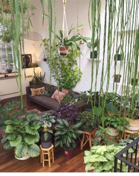 Amazing Indoor Jungle Decorations Tips And Ideas 50 In