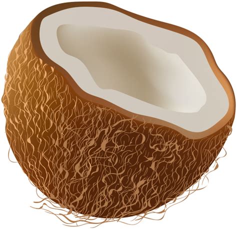 Coconut Clipart Full And Other Clipart Images On Cliparts Pub