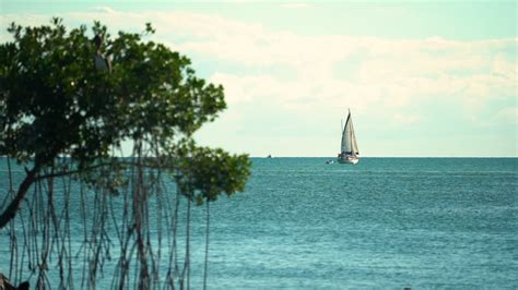 Premium Stock Video Sailboat Drifting On The Horizon In The Florida