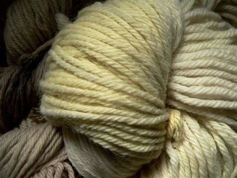 Wool Colored With Natural Plant Dye This Wool Yarn Went In Flickr