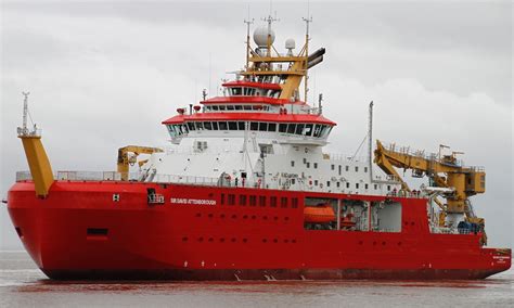 And there's an an abundance of other species and objects, including a boat, that carry the attenborough name. RRS Sir David Attenborough icebreaker | CruiseMapper