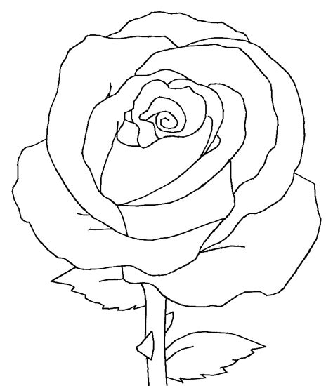 Rose Drawing For Beginners At Getdrawings Free Download
