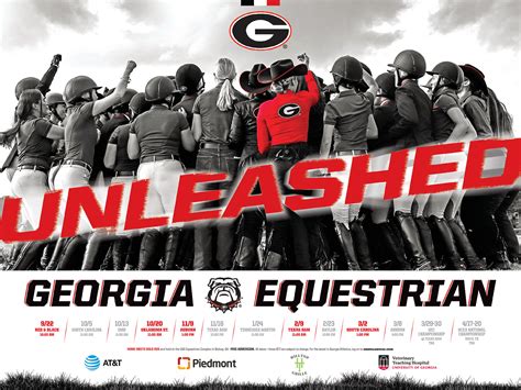 Georgia Bulldog Team Posters University Of Georgia Athletics