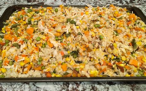 Preheat the oven to 350ºf. 20 Homemade Dog Food Recipes Made With Chicken - WowPooch
