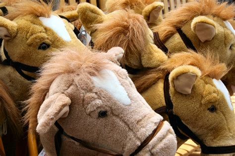 Play Horses Free Photo Download Freeimages