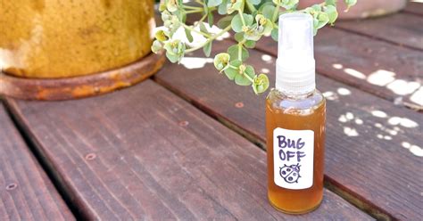 How To Make Natural Insect Repellant Popsugar Smart Living