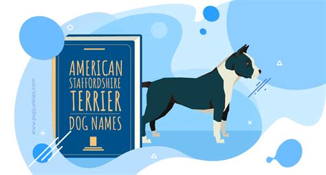 100 Most Popular American Staffordshire Terrier Dog Names Of 2021