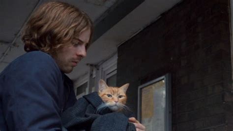A Street Cat Named Bob 2016 Cinema Cats