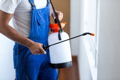 A career as a pest control specialist offers many benefits, including working independently, interacting with people and working outdoors. Why Hire A Pest Control Company? - Annie's Adelaide Pest ...