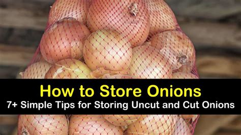 Do you have goals to eat your own home grown onions when to harvest onions and how to cure onions. 7+ Simple Ways to Store Uncut and Cut Onions