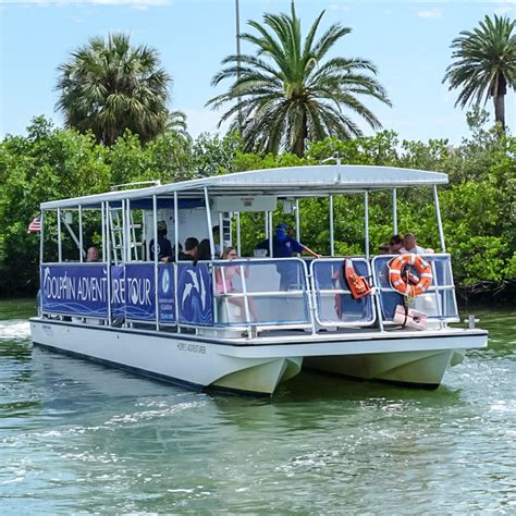 Dolphin And Wildlife Boat Tour Clearwater Marine Aquarium