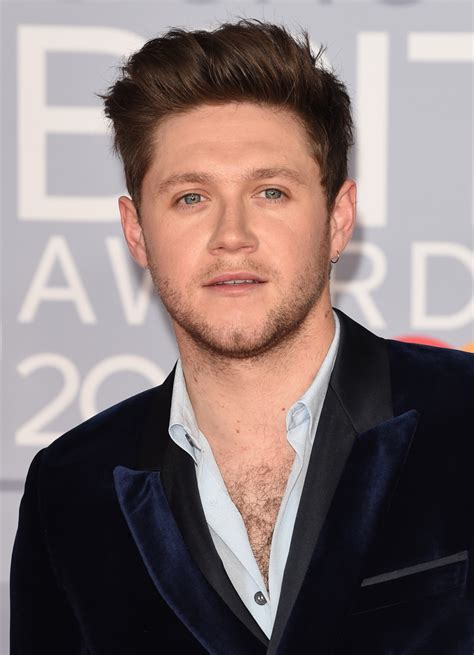 My Love Of Nialls Chest Hair — Dailyniallnews 103118 How Handsome