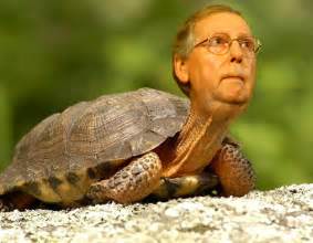 2018 Crookie Head In The Sand Award Mitch Mcconnell Crooks And Liars