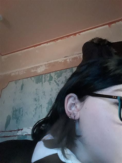 The blue triangle was never used by the nazis. I dyed my hair blue to start off spooky season for my baby ...