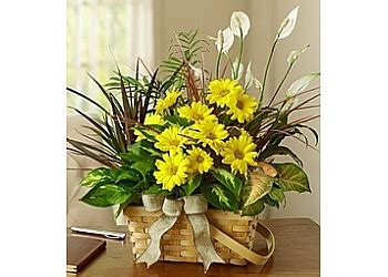 Learn more about elana's broad st. 3 Best Florists in Augusta, GA - Expert Recommendations