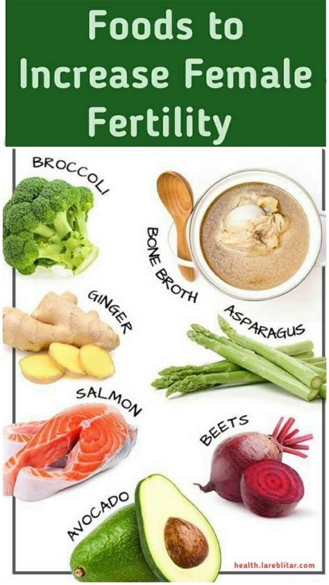 8 foods to increase female fertility dengan gambar