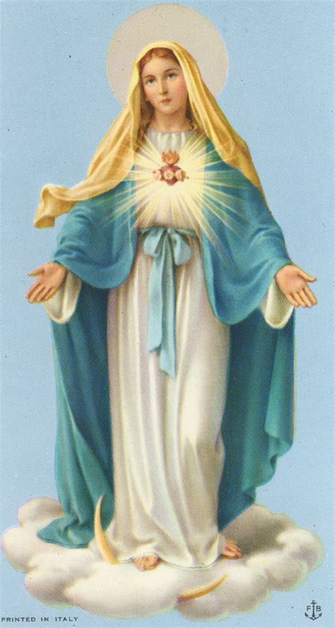 Images About Blessed Virgin Mary Blessed Virgin Mary X