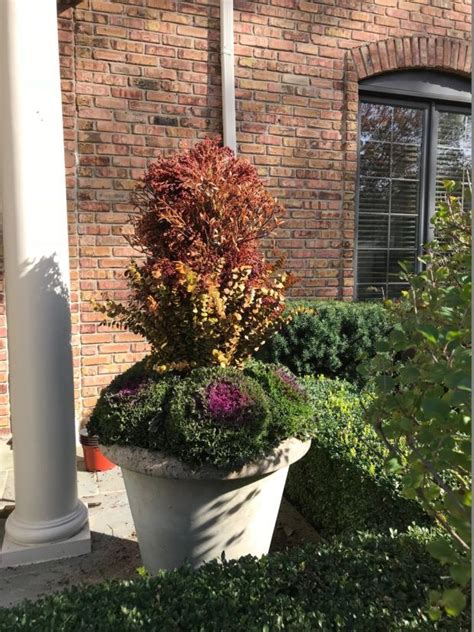 Blog Dirt Simple Deborah Silver Fall Containers Plants Fall Planters