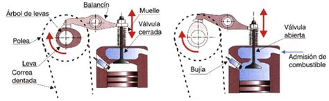 5 Leva Excéntrica