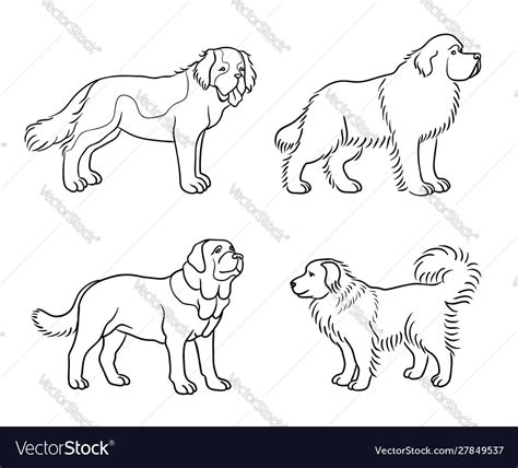 Dogs Different Breeds In Outlines Set2 Royalty Free Vector