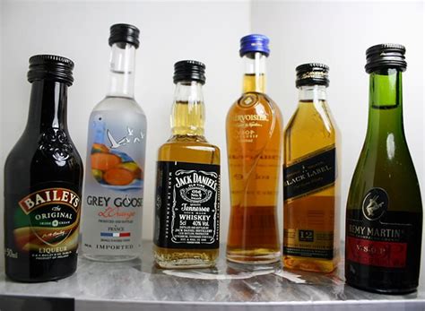 Can You Bring Nips (Mini Liquor Bottles) On Planes? | CJ