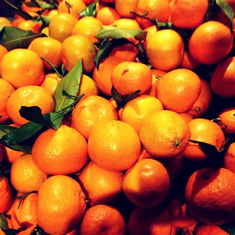 Satsuma Tangerines Information Recipes And Facts