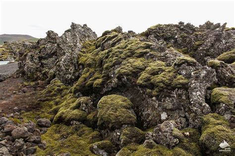 20 World Records In Icelandic Nature Arctic Adventures