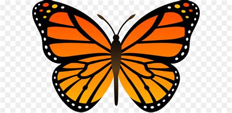 Butterfly Cartoon Clip Art Orange Butterfly Png Image Butterflies