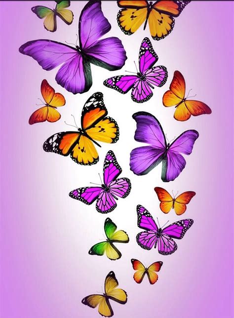Butterfly Butterfly Artwork Butterfly Background Butterfly Drawing