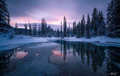 Wallpaper Winter Forest The Sky Snow Trees Sunset Reflection