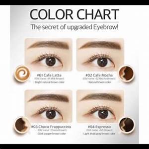 Eyebrow Color Chart Eyebrow Color Chart Eyebrow Colour Chart