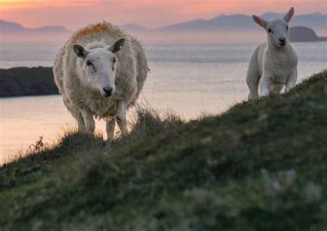 Check spelling or type a new query. Buyagift | Experience Days | Gift Experiences