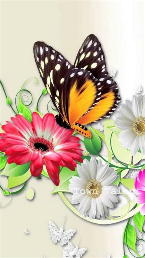 Butterfly Cellphone Wallpaper 2021 Cute Wallpapers