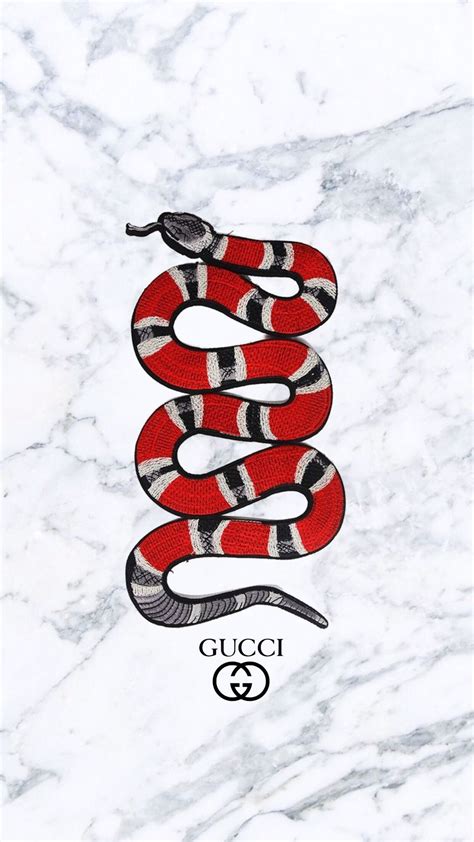 Gucci Scene Iphone Wallpapers Top Free Gucci Scene