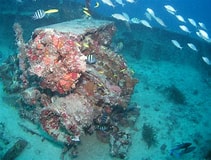 Image result for best dive sites in florida</li><li style=