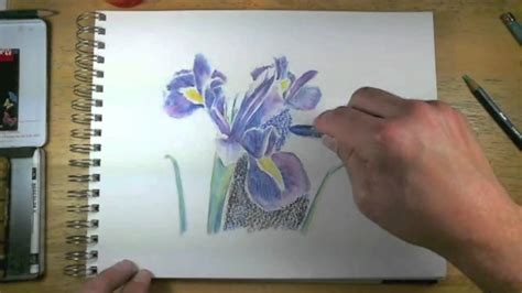 Best reviews guide analyzes and compares all watercolor pencils of 2021. How to Draw with Watercolor Pencils - Live Lesson Excerpts ...