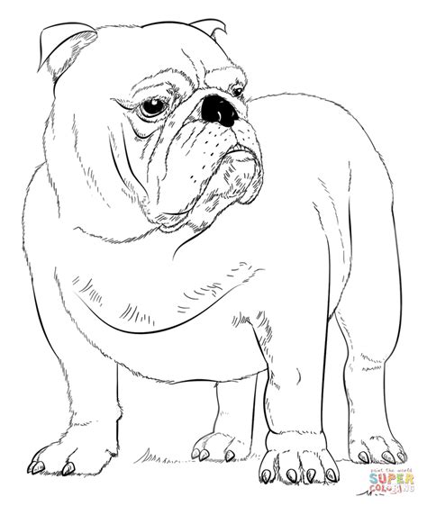 French bulldog coloring page free printable coloring pages. French Bulldog Coloring Pages - Coloring Home