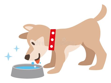 Illustration Of A Dog Drinking Water Stock Vector Illustration Of