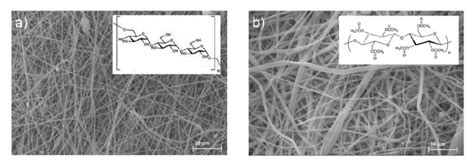 Sem Images Of Electrospun Membrane Of A Pullulan And B Cellulose