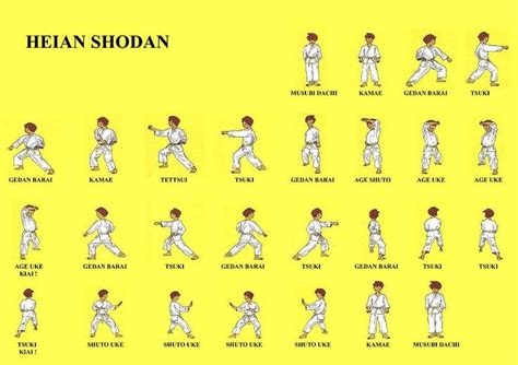 Check spelling or type a new query. Heian Shodan: gedan barai, age uke, oi tsuki et shuto uké ...